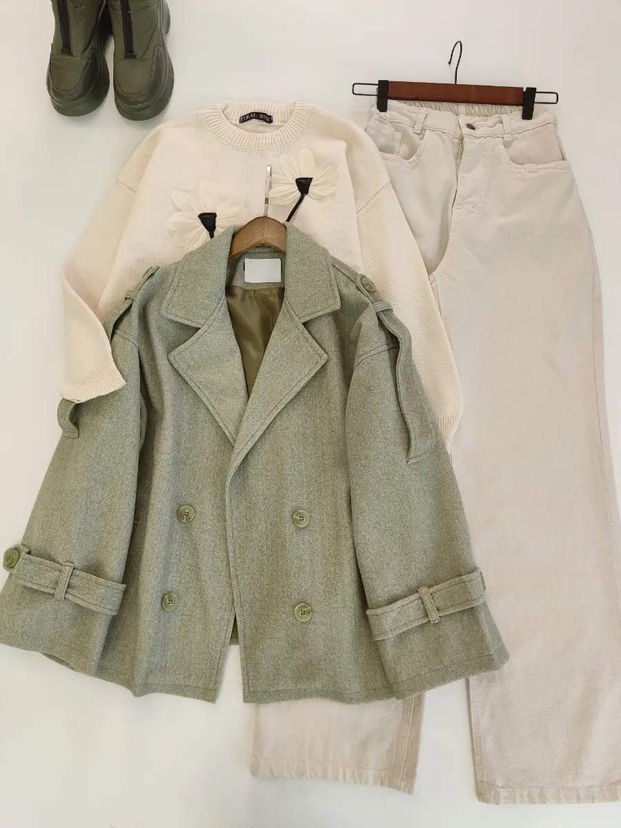 پالتو مبینا